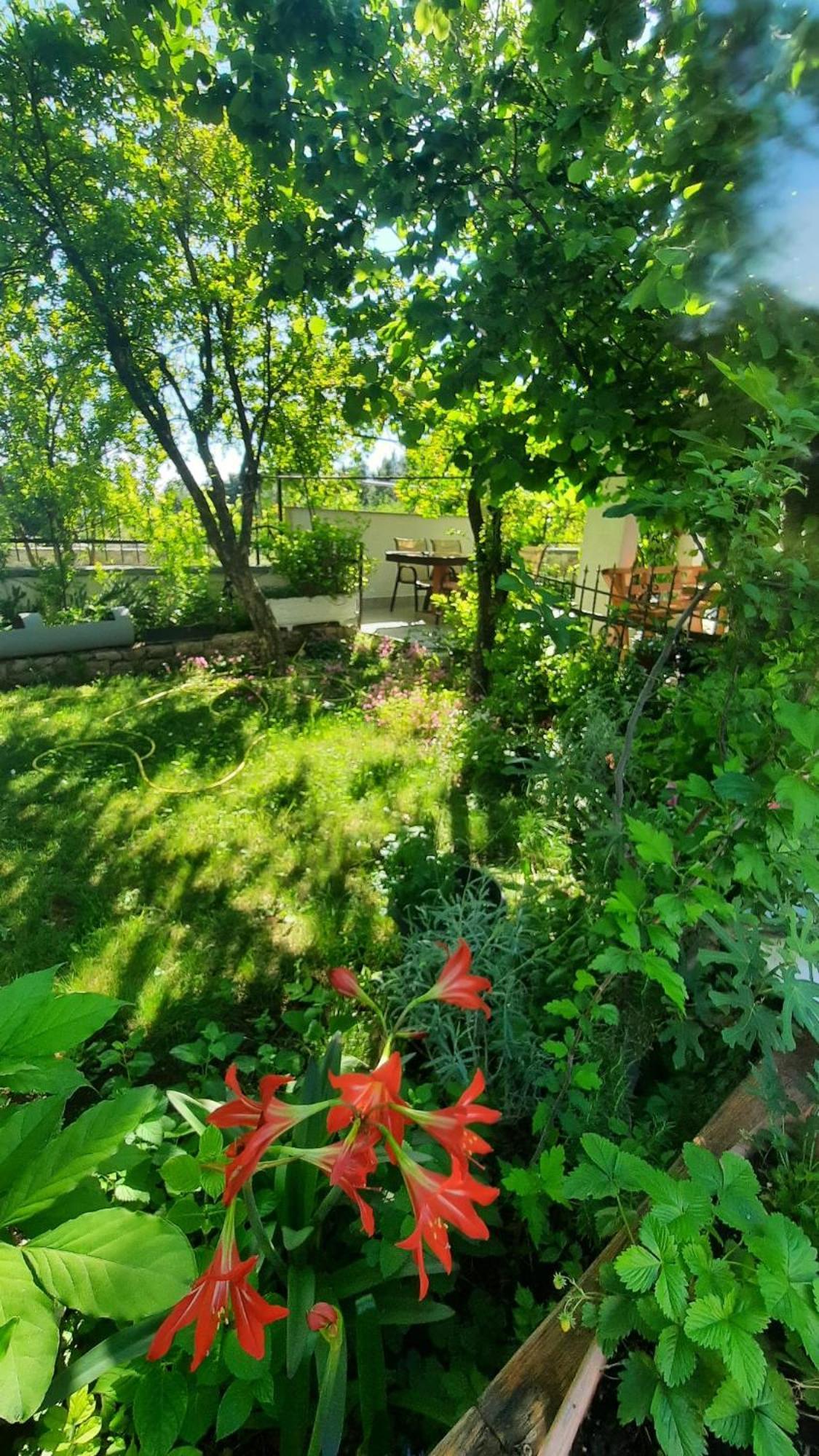 Apartmani Tinka Starigrad Paklenica Exterior foto