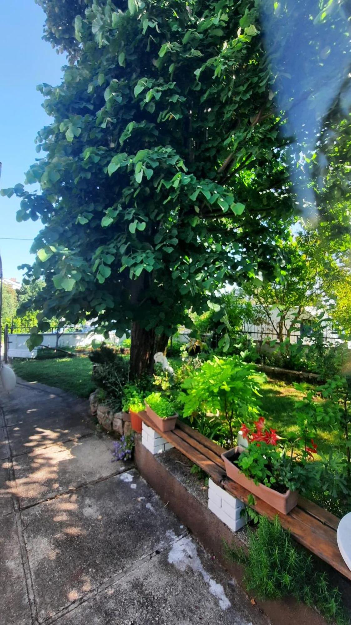 Apartmani Tinka Starigrad Paklenica Exterior foto